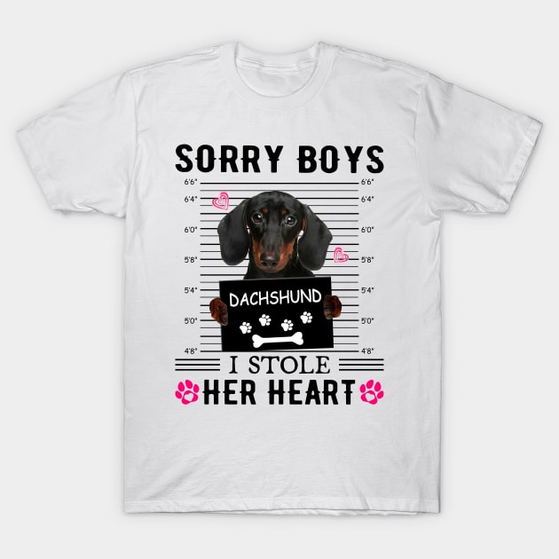 Black Dachshund Sorry Boys I Stole Her Heart Valentine's Day T-Shirt by PlumleelaurineArt